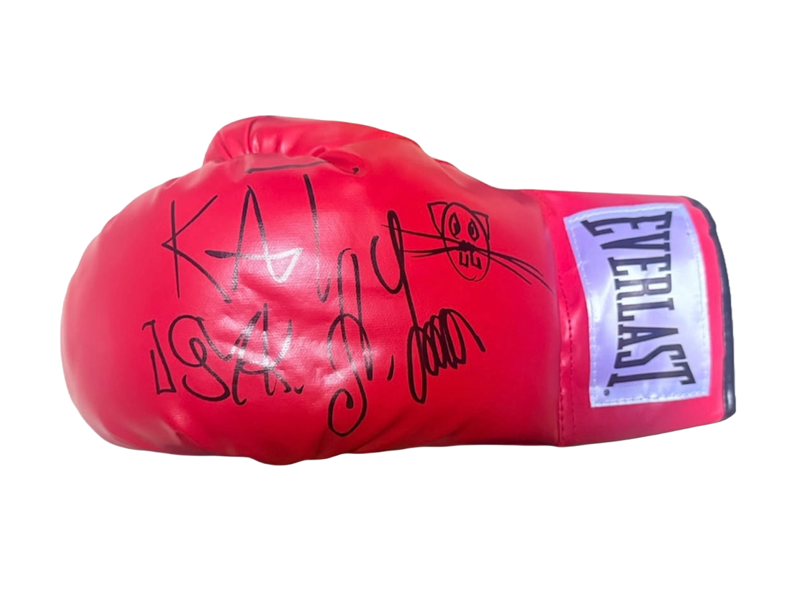 Personalised signed Oleksandr Usyk boxing glove featuring a large hand-signed autograph, custom cat drawing, and Kat Usyk inscription on the main strike surface