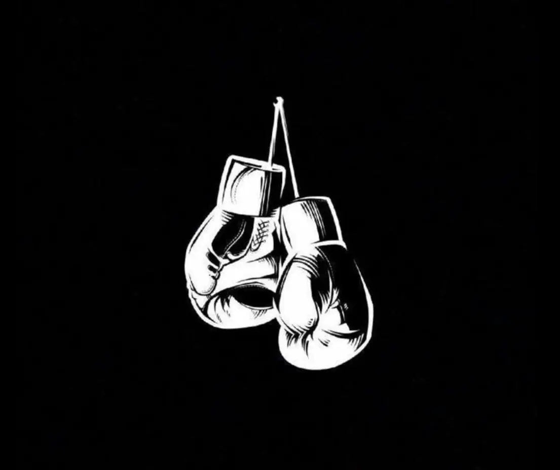 Autographed and signed boxing gloves trunks belts - LIMELIGHT MEMORABILIA