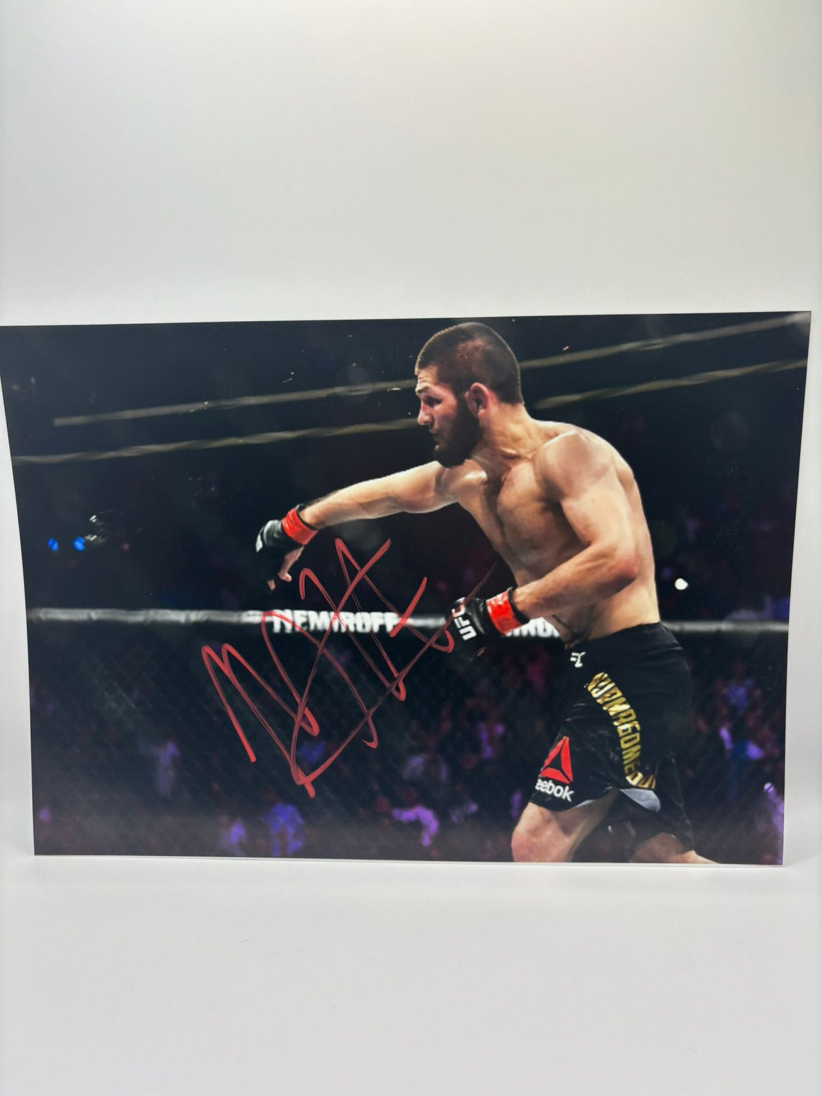KHABIB numergemadov SIGNED PHOTO LIMELIGHT MEMORABILIA