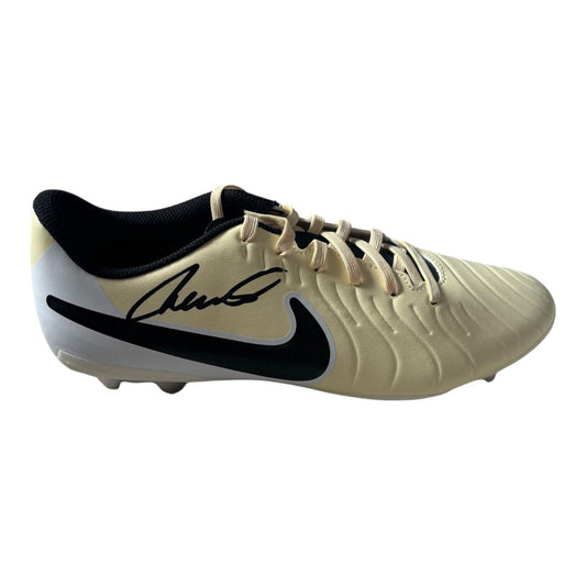 A professional-grade football boot hand-signed by Fernando Torres in bold permanent ink on the side, displayed with an official Limelight Memorabilia COA.