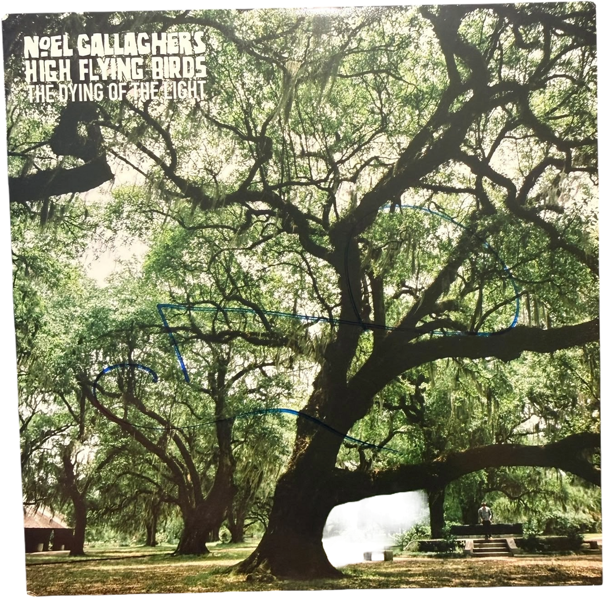 Front view of Noel Gallagher's High Flying Birds The Dying of the Light vinyl single sleeve, clearly autographed by Noel Gallagher, shown alongside the Certificate of Authenticity.