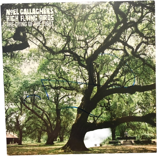Front view of Noel Gallagher's High Flying Birds The Dying of the Light vinyl single sleeve, clearly autographed by Noel Gallagher, shown alongside the Certificate of Authenticity.