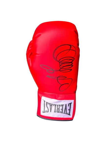Professional Everlast boxing glove featuring a bold hand-signed autograph by heavyweight champion Oleksandr Usyk.